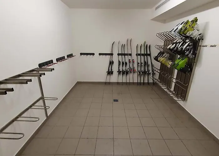 Moelltaler Gletscher 2 Apartament